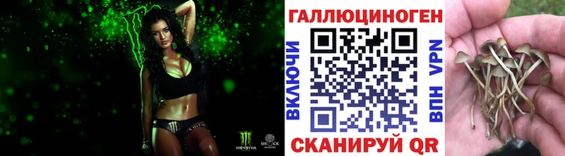 Галлюциногенные грибы MAGIC MUSHROOMS  Тольятти 