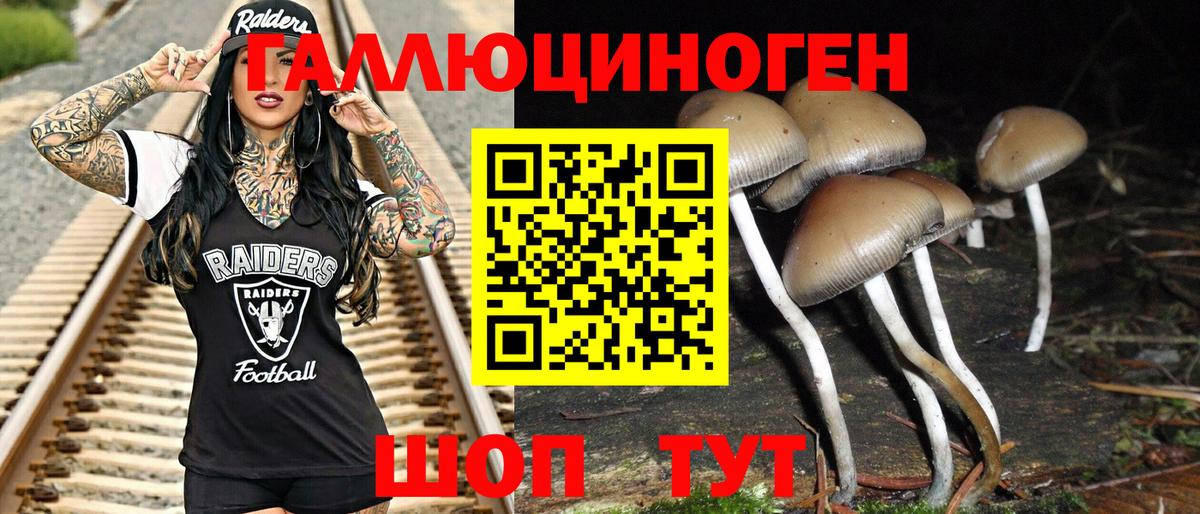 Псилоцибиновые грибы прущие грибы Тольятти